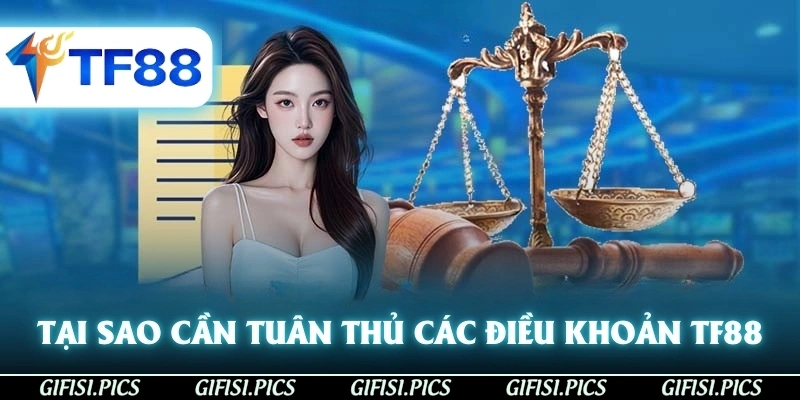 Tại sao cần tuân thủ các điều khoản và điều kiện tại TF88?