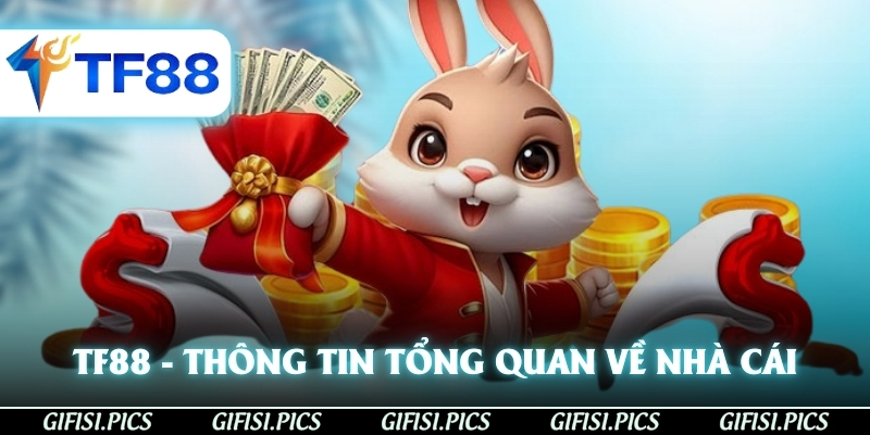 TF88 - Thông tin tổng quan